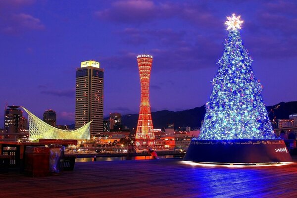 Árbol de Navidad en el contexto de la arquitectura