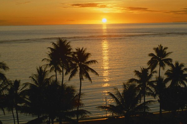 Puesta de sol tropical, playa de arena