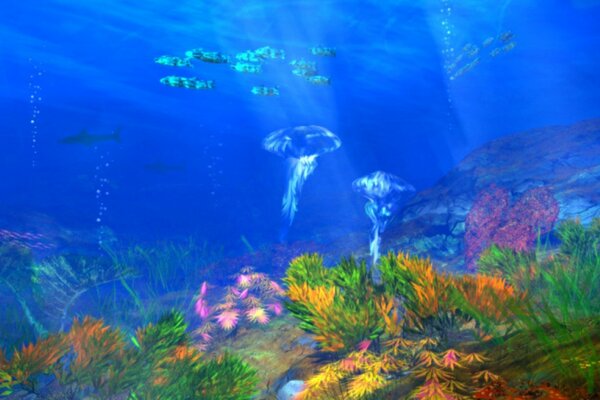 El mundo submarino de los peces medusas
