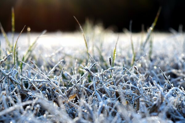 Natur ist ein sehr schöner verschneiter Winter