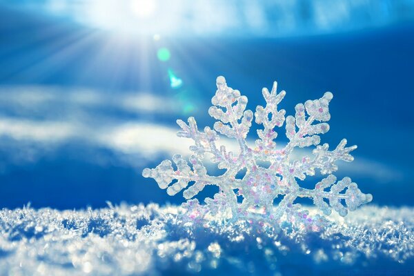 A beautifully shaped snowflake sparkles against the blue sky