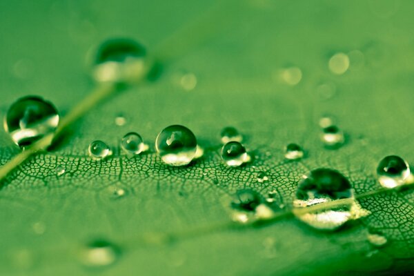 Imágenes llamativas de gotas de agua en homenaje