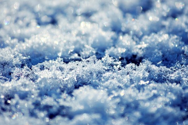 Fragili cristalli di neve nei raggi del sole