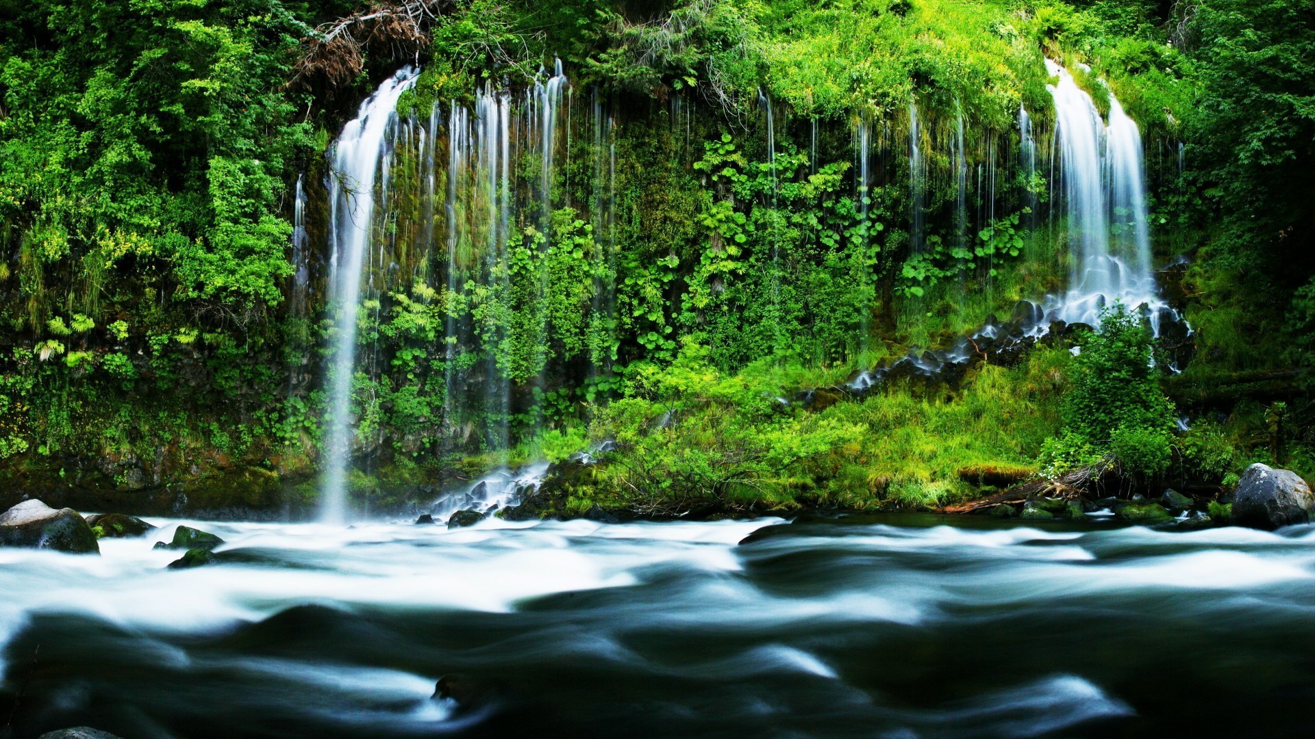 cascades eau cascade nature bois à l extérieur feuille rivière humide cascade flux voyage parc luxuriante automne été propreté bois mousse sauvage