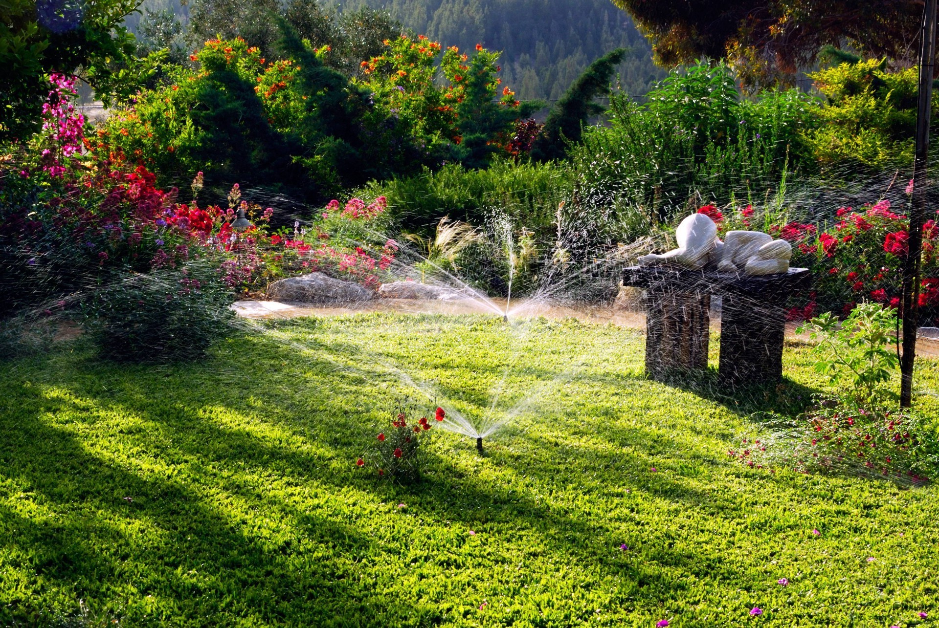 cenário flor jardim grama natureza árvore paisagem parque gramado verão ao ar livre flora folha