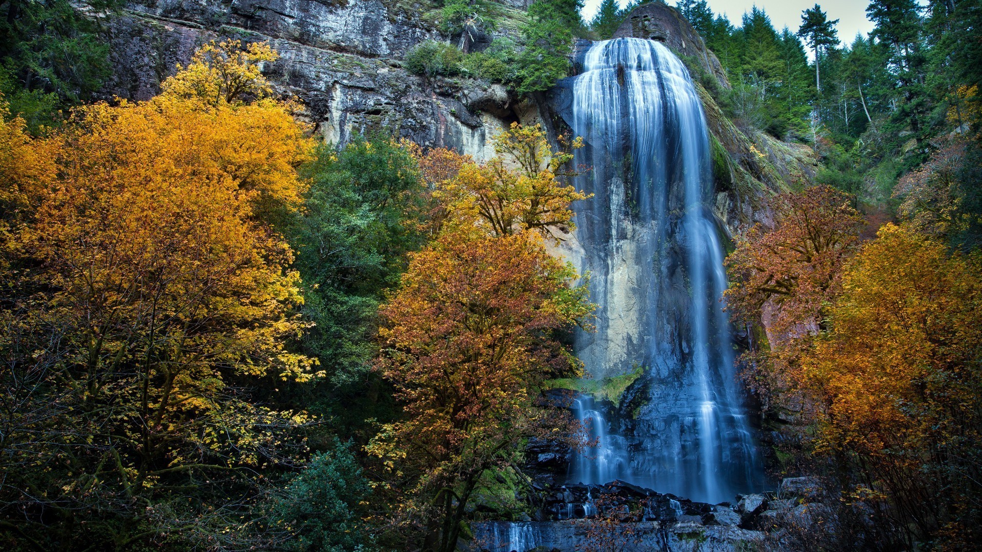 waterfalls fall wood leaf nature water tree waterfall landscape outdoors park scenic wild river stream travel maple environment season scenery