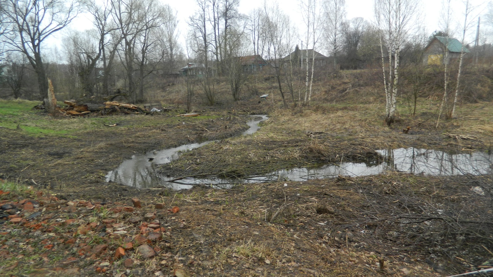 rodzime przestrzenie woda natura krajobraz środowisko powódź jesień drewno przepływ na zewnątrz drzewo rzeka katastrofa zima pogoda liść podróż