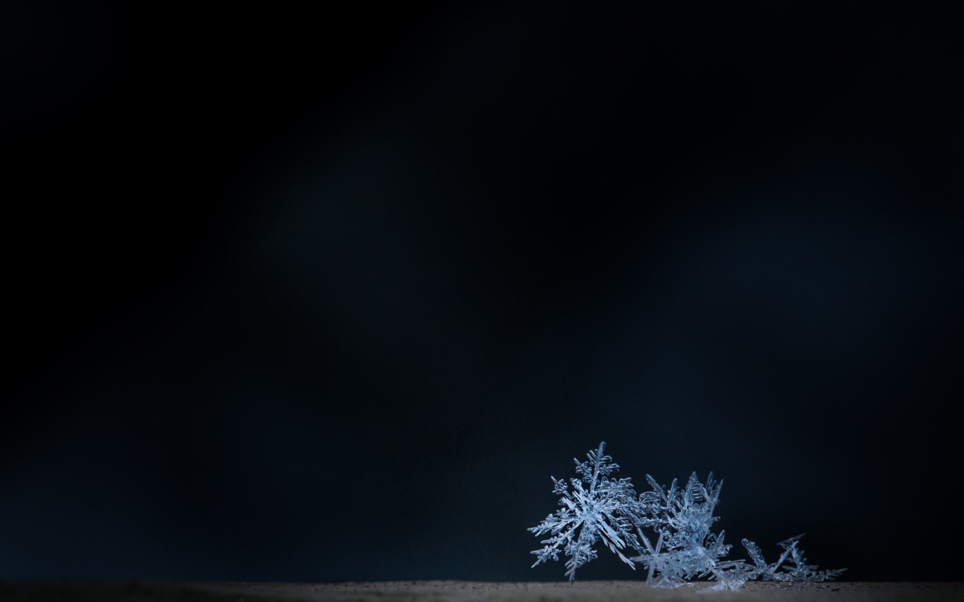 makro niebo pulpit streszczenie księżyc krajobraz ciemny natura ptak na zewnątrz światło astronomia sztuka zima tekstura wykres księżyc kolor sylwetka przestrzeń