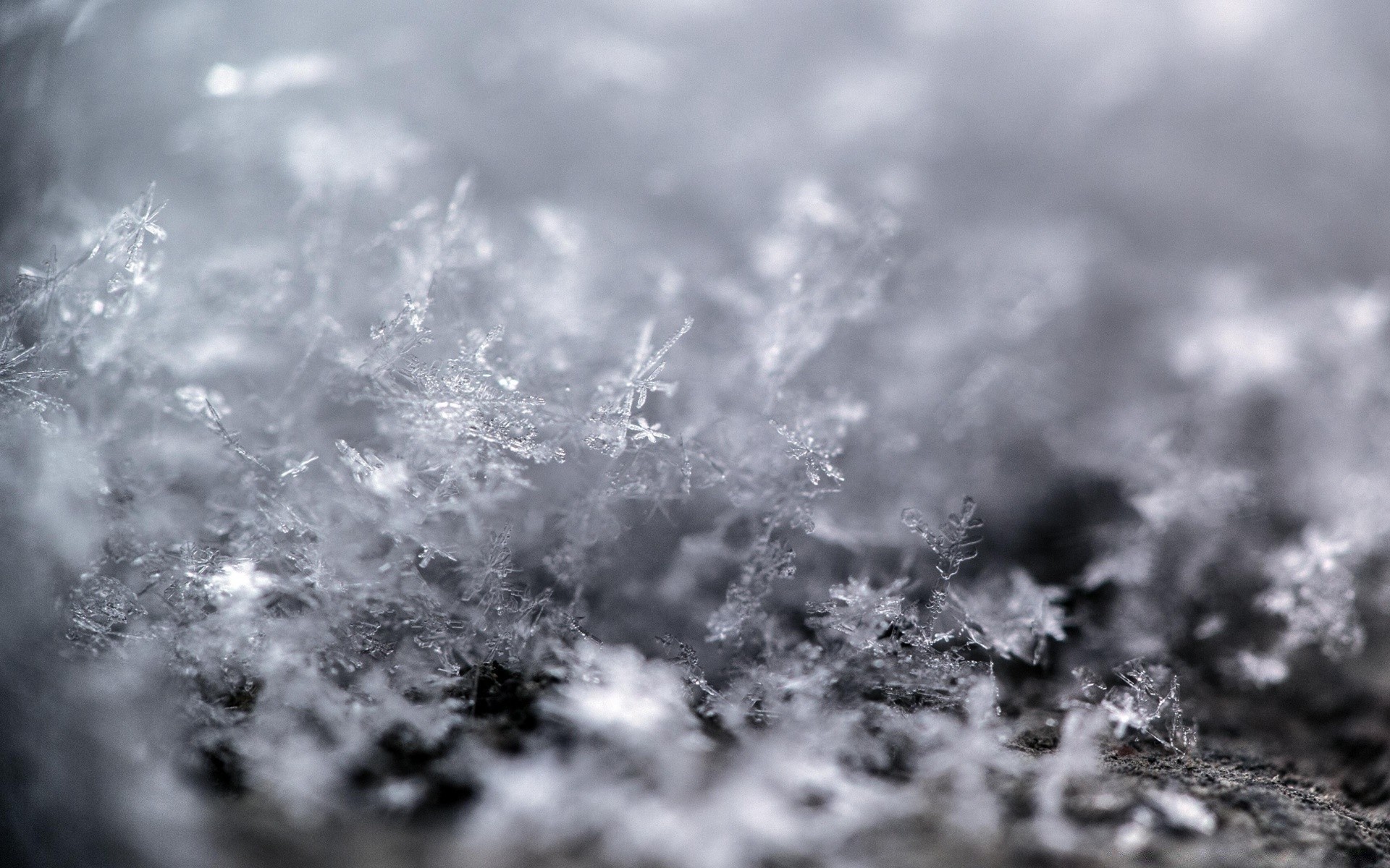 macro inverno neve natura astratto gelo natale desktop freddo luminoso ghiaccio in bianco e nero cielo splende brillare sole