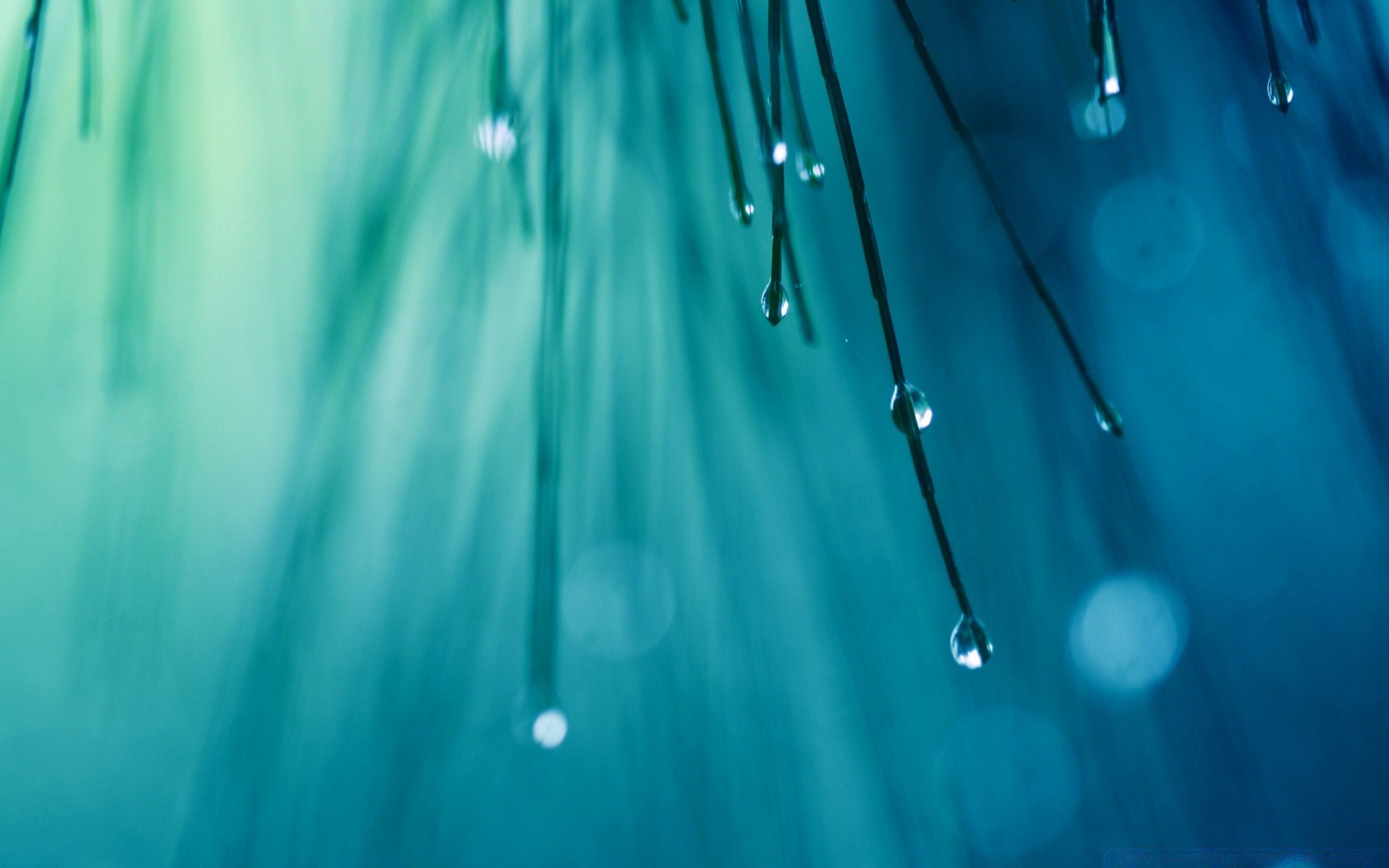 macro clean water rain wet light drop desktop blur abstract shining bright color liquid purity