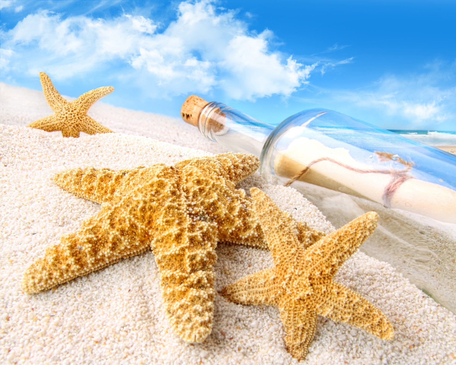 paesaggio stelle marine conchiglie conchiglia spiaggia sabbia mare mare oceano tropicale marino natura estate conch vacanza desktop oro costa viaggi costa echinodermi