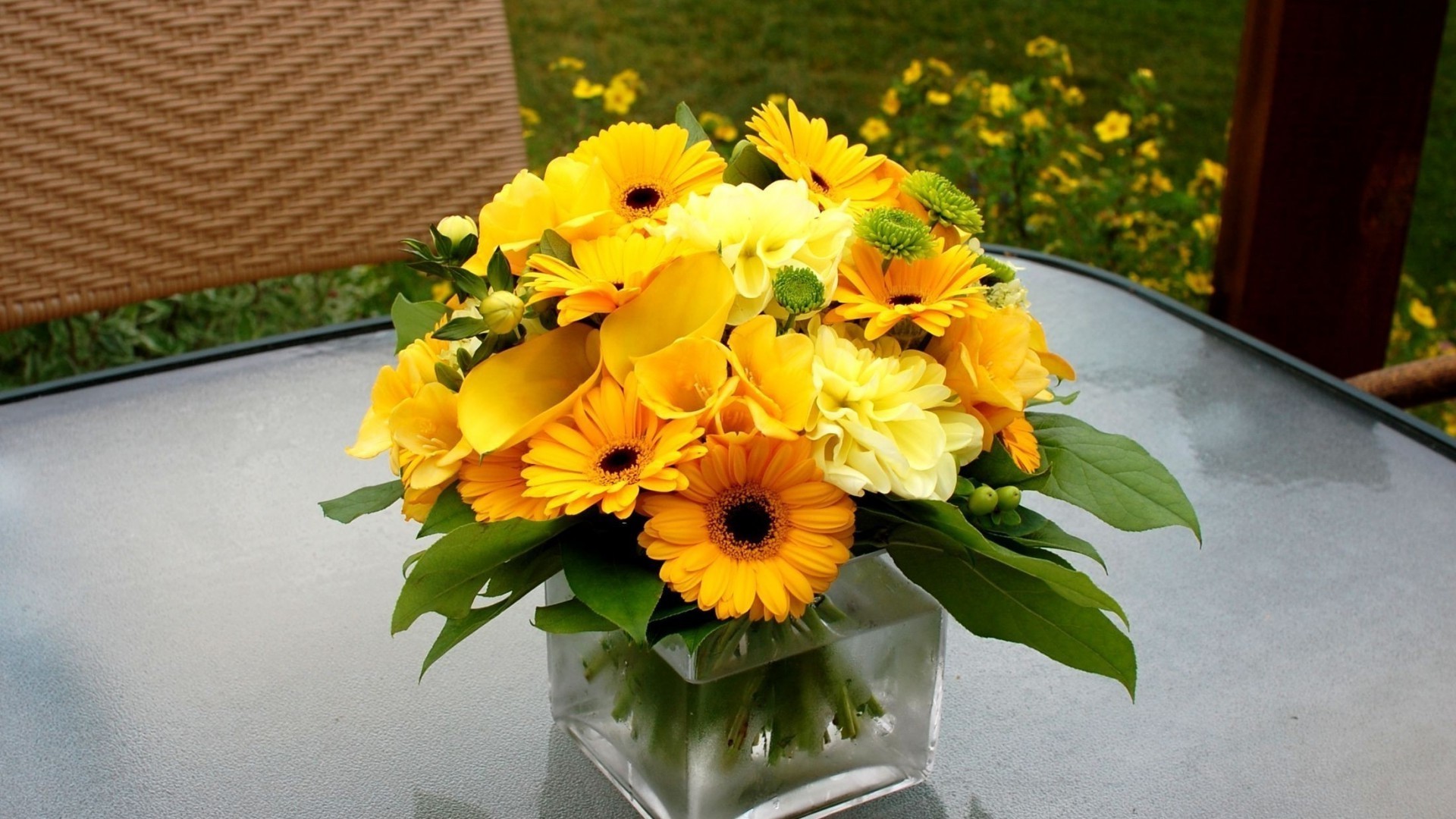 in vase oder topf blume blatt blumenstrauß natur flora garten sommer blumen blütenblatt farbe vase