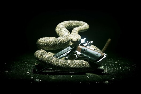 Serpente con una pistola. Grafica. Vipera con una pistola