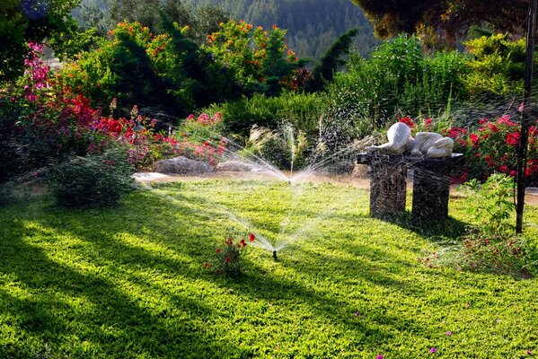 Spritzwasser in einem schönen Garten mit hellen Blumen