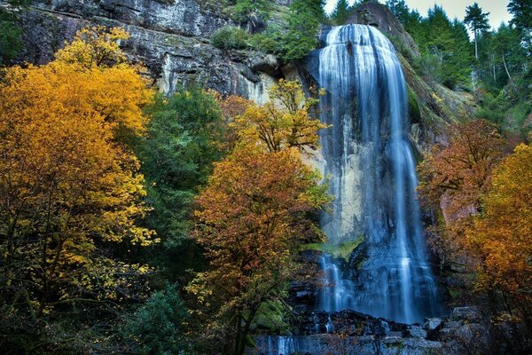 A large waterfall among the yellow foliage