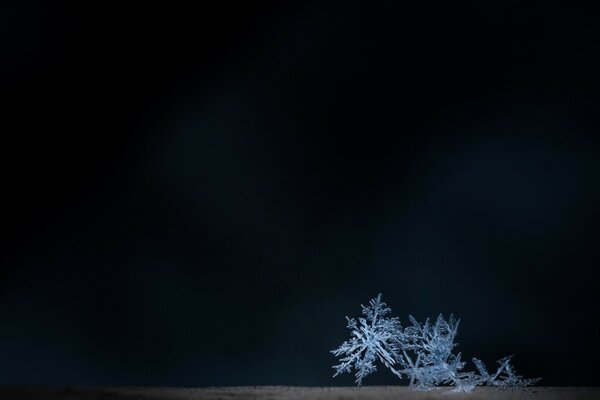 At night, the moon illuminates snowflakes