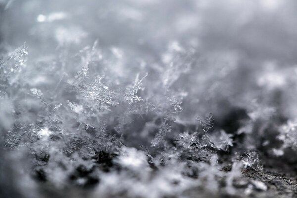 Invierno de cristal con hermosos copos de nieve