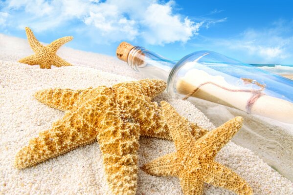 On the beach there is a starfish and seashells and a bottle with a letter