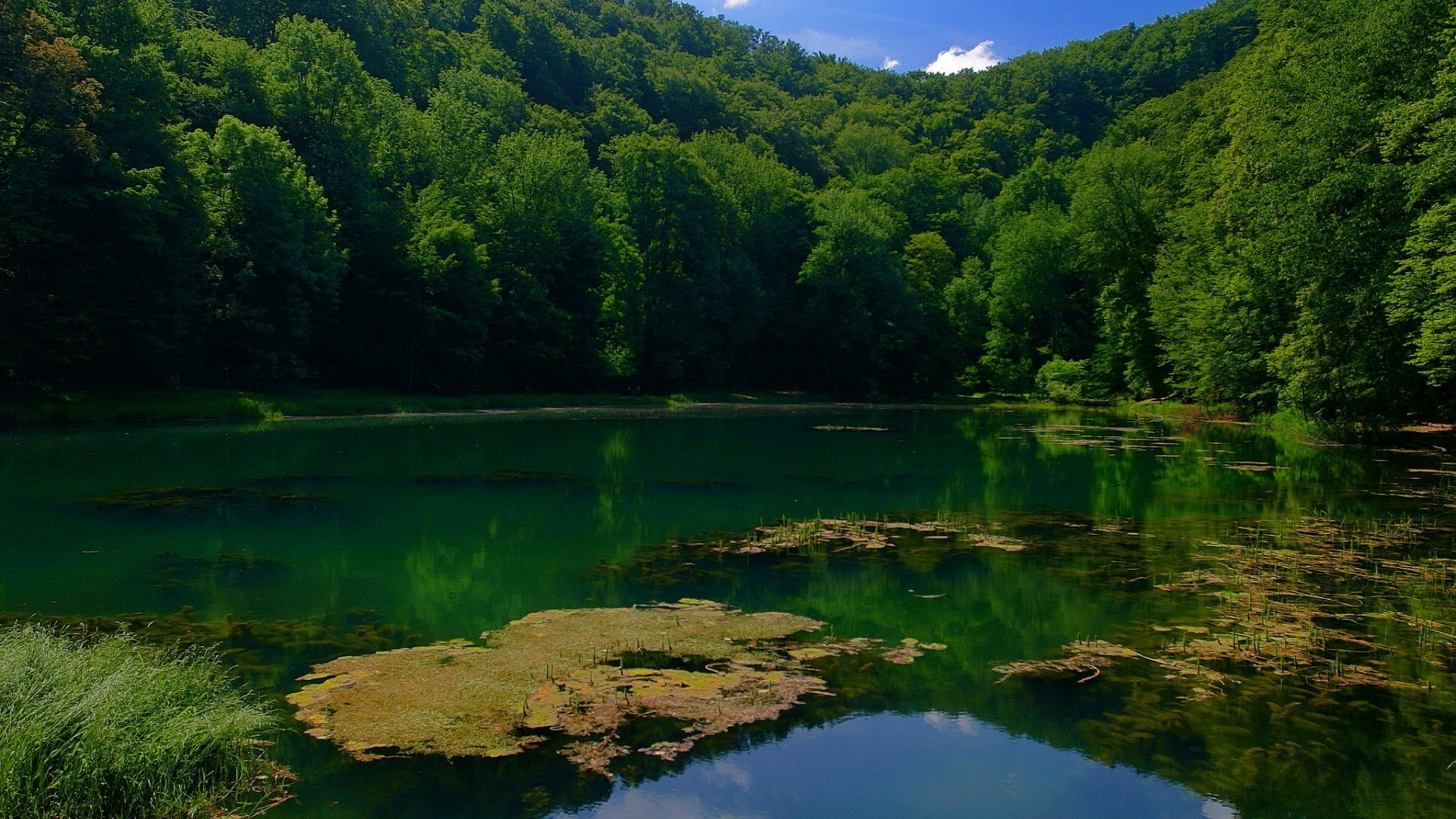 lago água natureza paisagem rio viagens ao ar livre madeira árvore verão reflexão céu cênica montanhas luz do dia