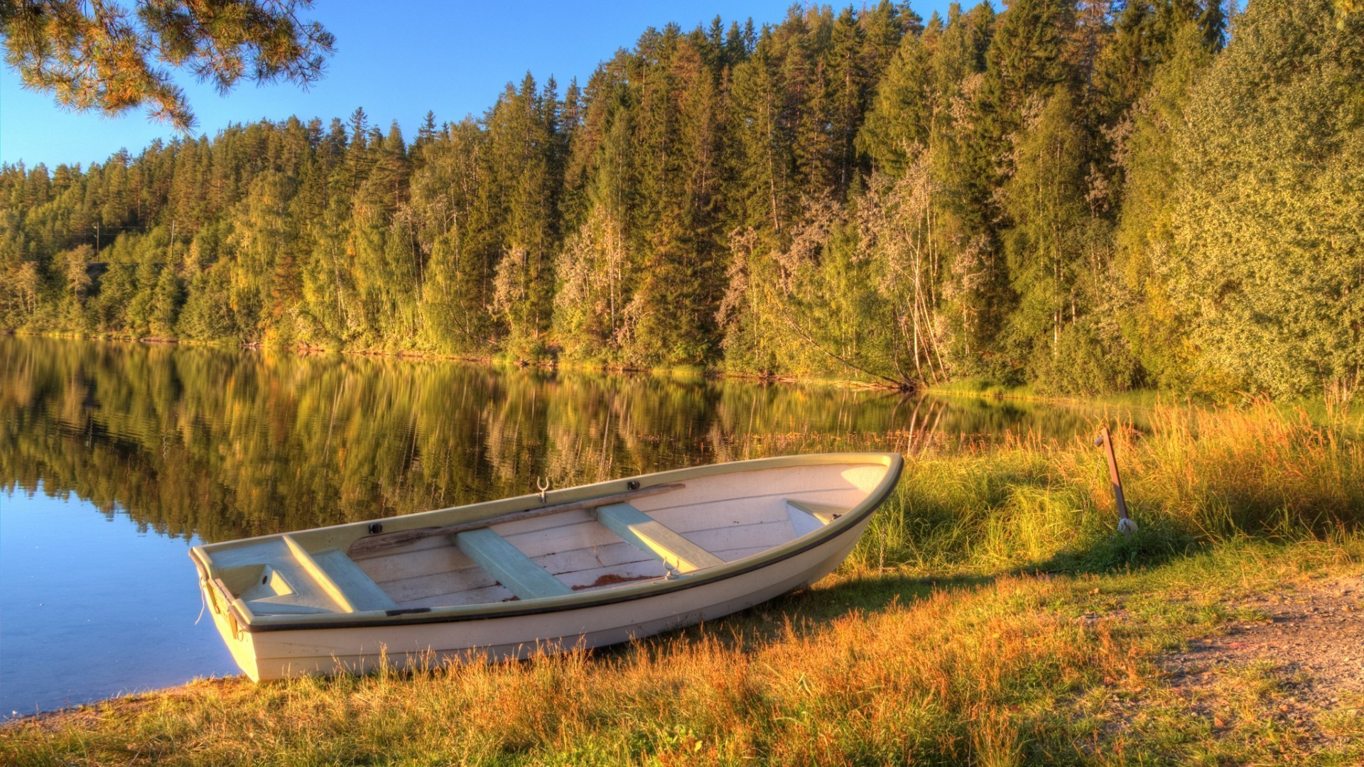 autumn wood tree nature landscape lake outdoors travel fall scenic sky water grass daylight river mountain rural