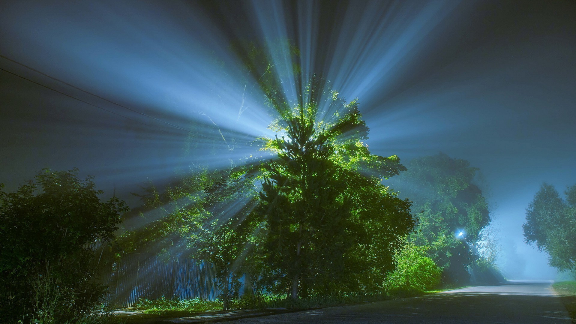 notte sera crepuscolo sera crepuscolo natura sole luce paesaggio bel tempo sfocatura