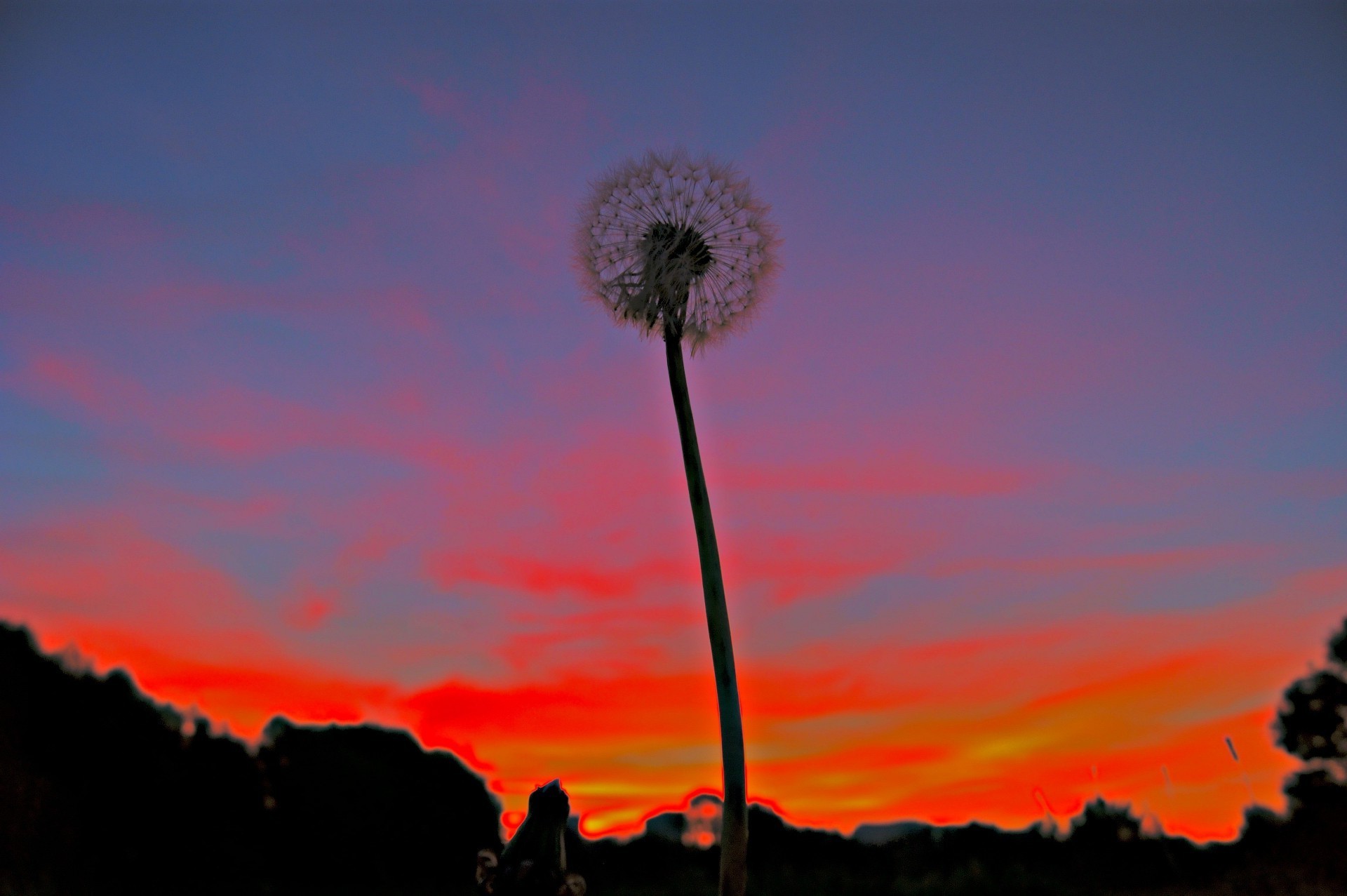 the sunset and sunrise sunset sky sun dawn nature outdoors silhouette landscape evening dusk light fair weather