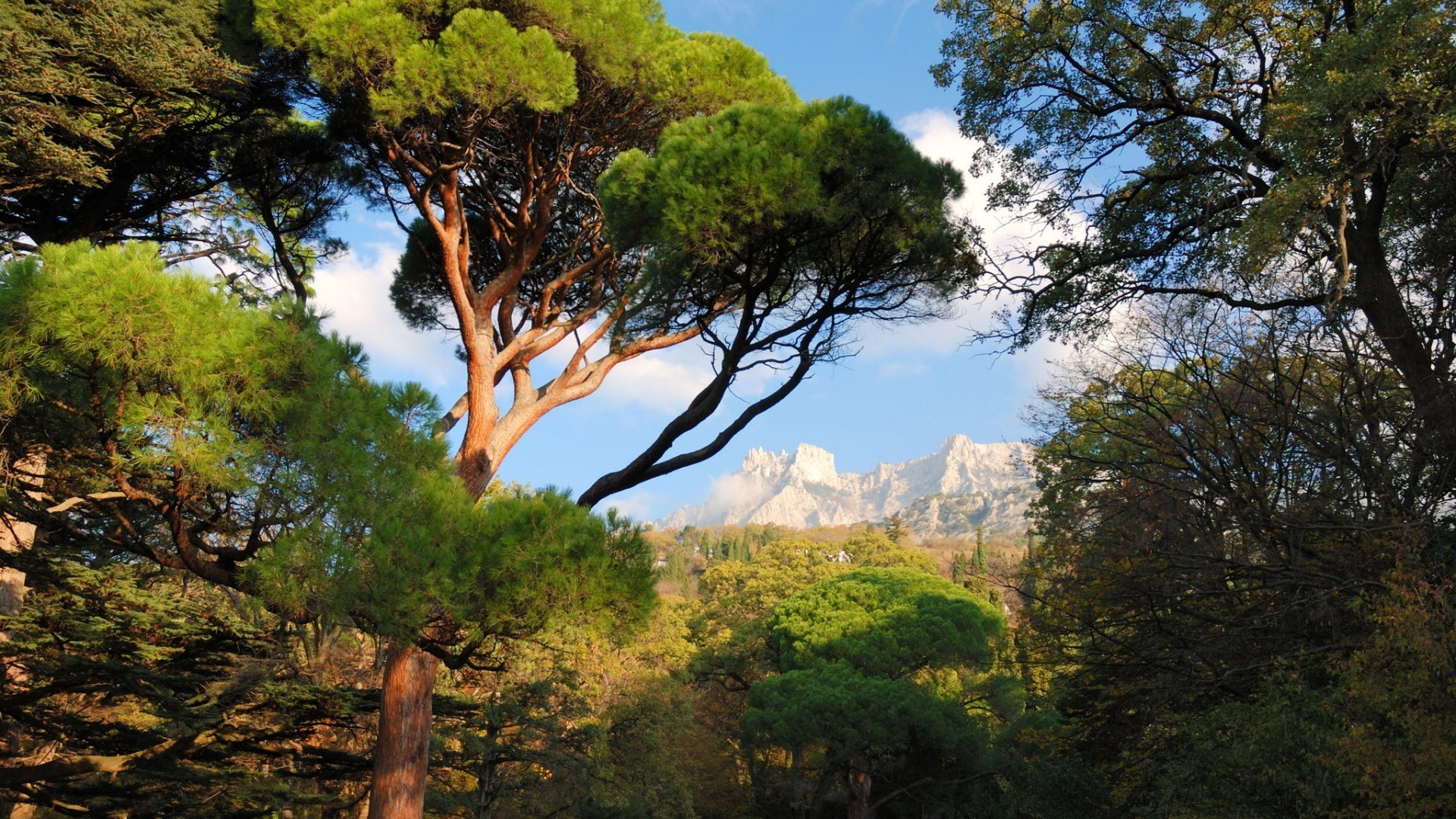 montanhas árvore madeira natureza paisagem ao ar livre folha parque viagens céu cênica outono montanhas quarta-feira amanhecer luz do dia evergreen coníferas bom tempo flora