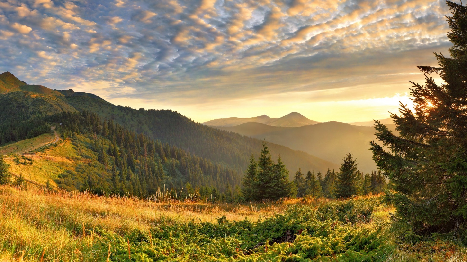 puesta de sol y amanecer naturaleza paisaje al aire libre puesta de sol otoño montañas viajes amanecer cielo árbol madera niebla buen tiempo nieve noche