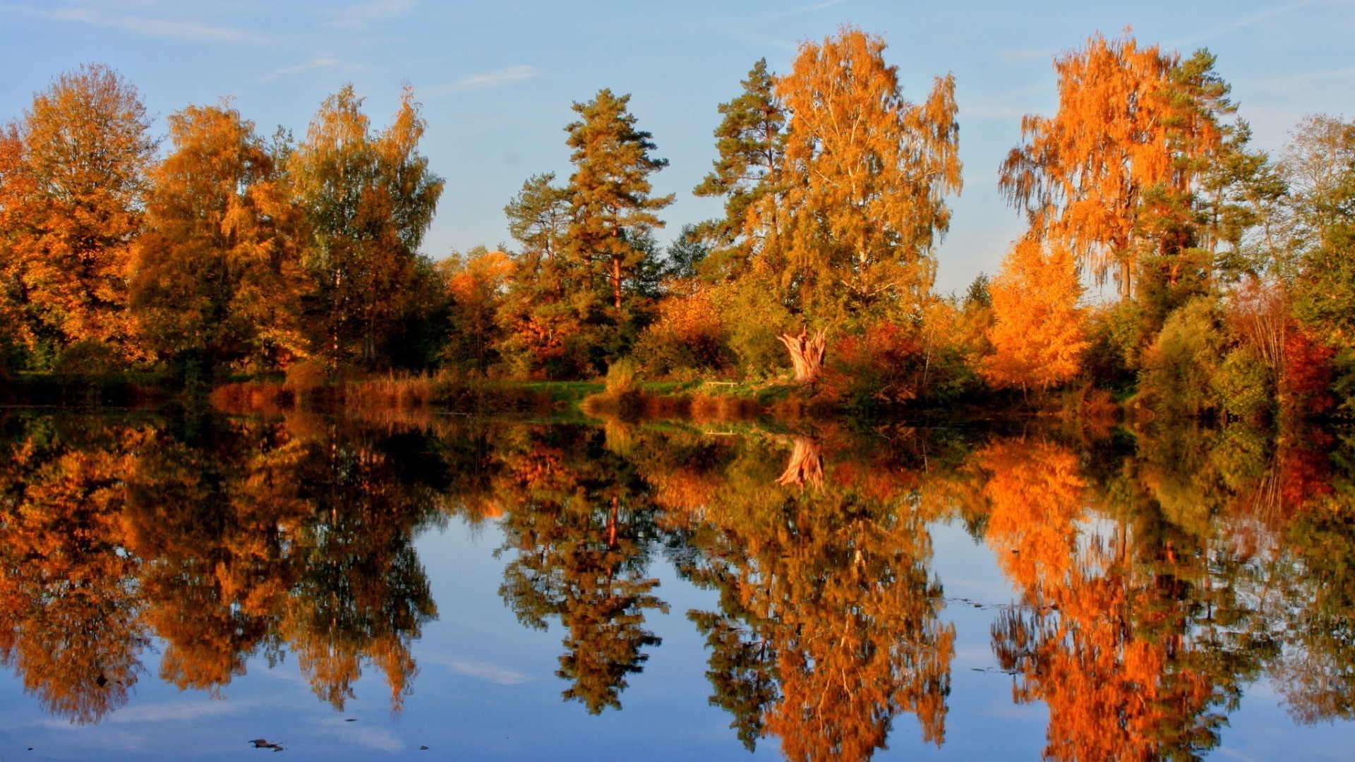 lac automne feuille arbre nature bois en plein air paysage saison lumineux beau temps eau scénique érable parc ciel aube sang-froid branche