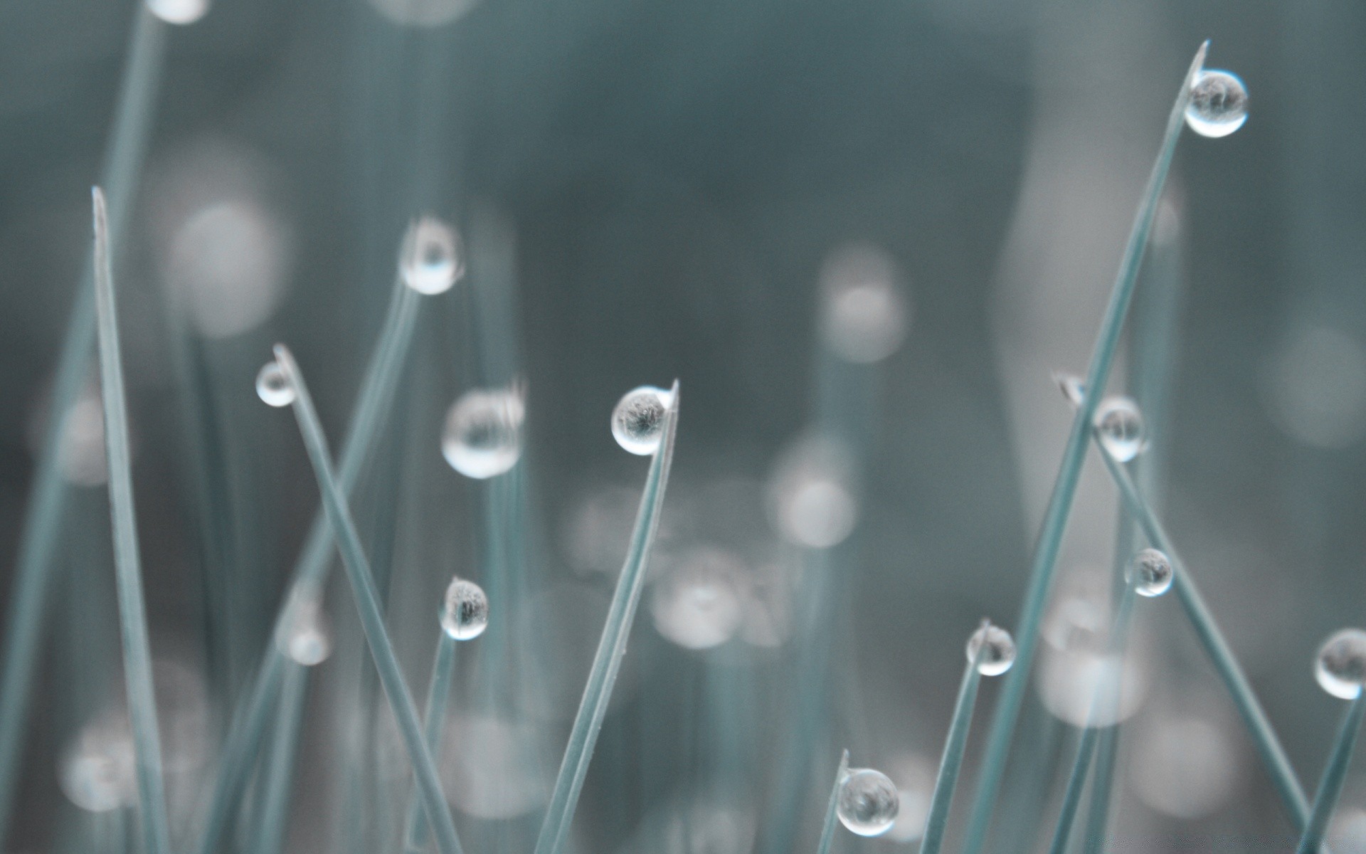 macro drop rain water dew clean wet liquid desktop close-up purity freshness