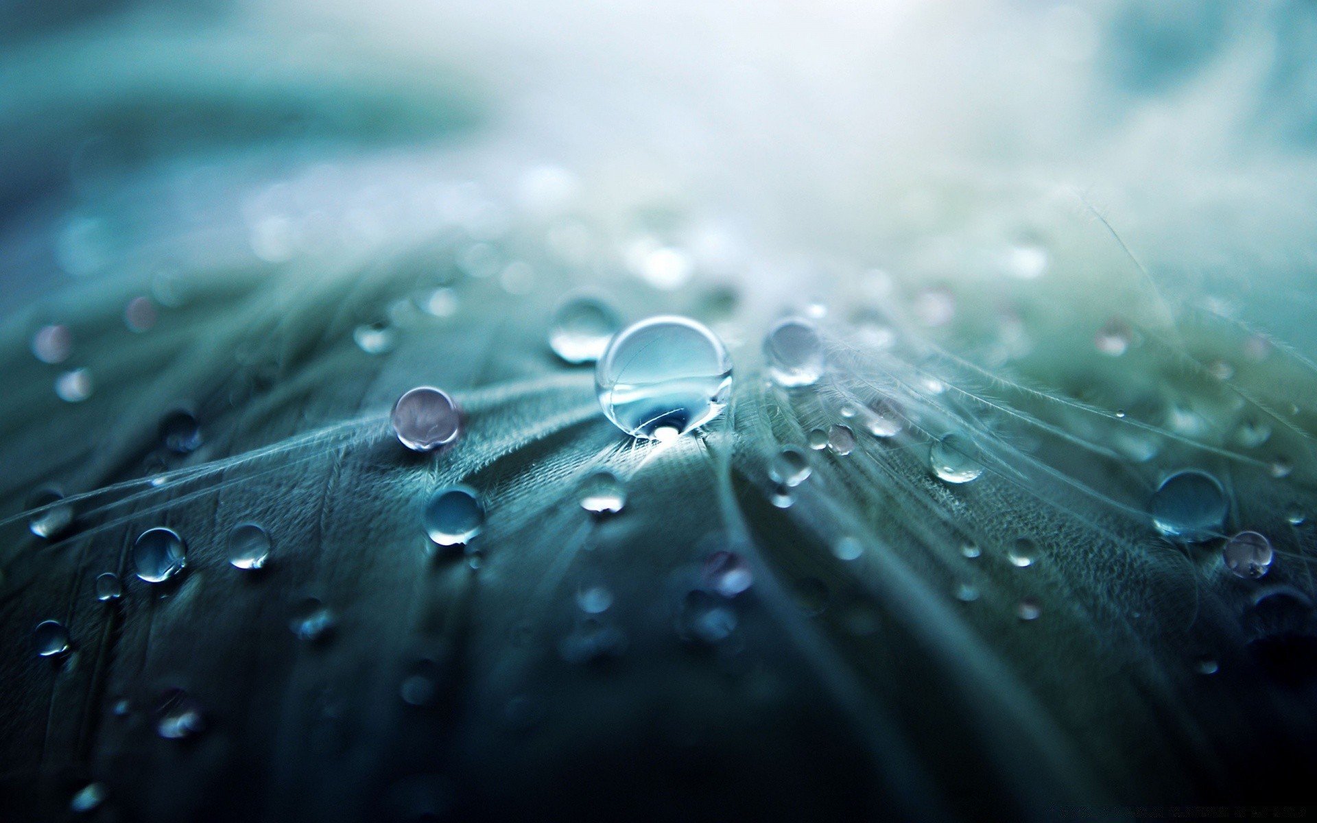 macro pluie goutte goutte rosée humide eau propre réflexion splash clair turquoise liquide bulle goutte à goutte goutte à goutte bureau résumé lumière lavage briller