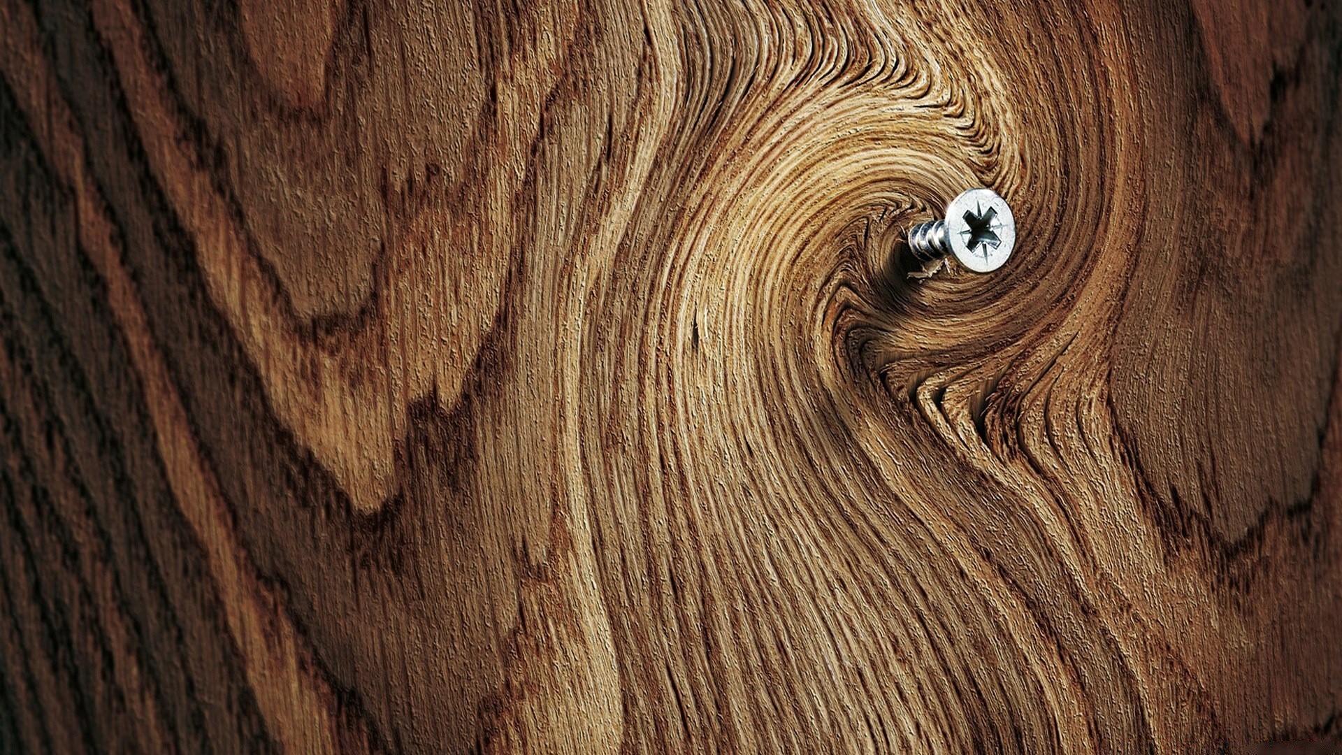 macro log legno tessuto modello legno struttura ruvido legno carpenteria legno pino desktop quercia superficie grano pavimento parete pannello