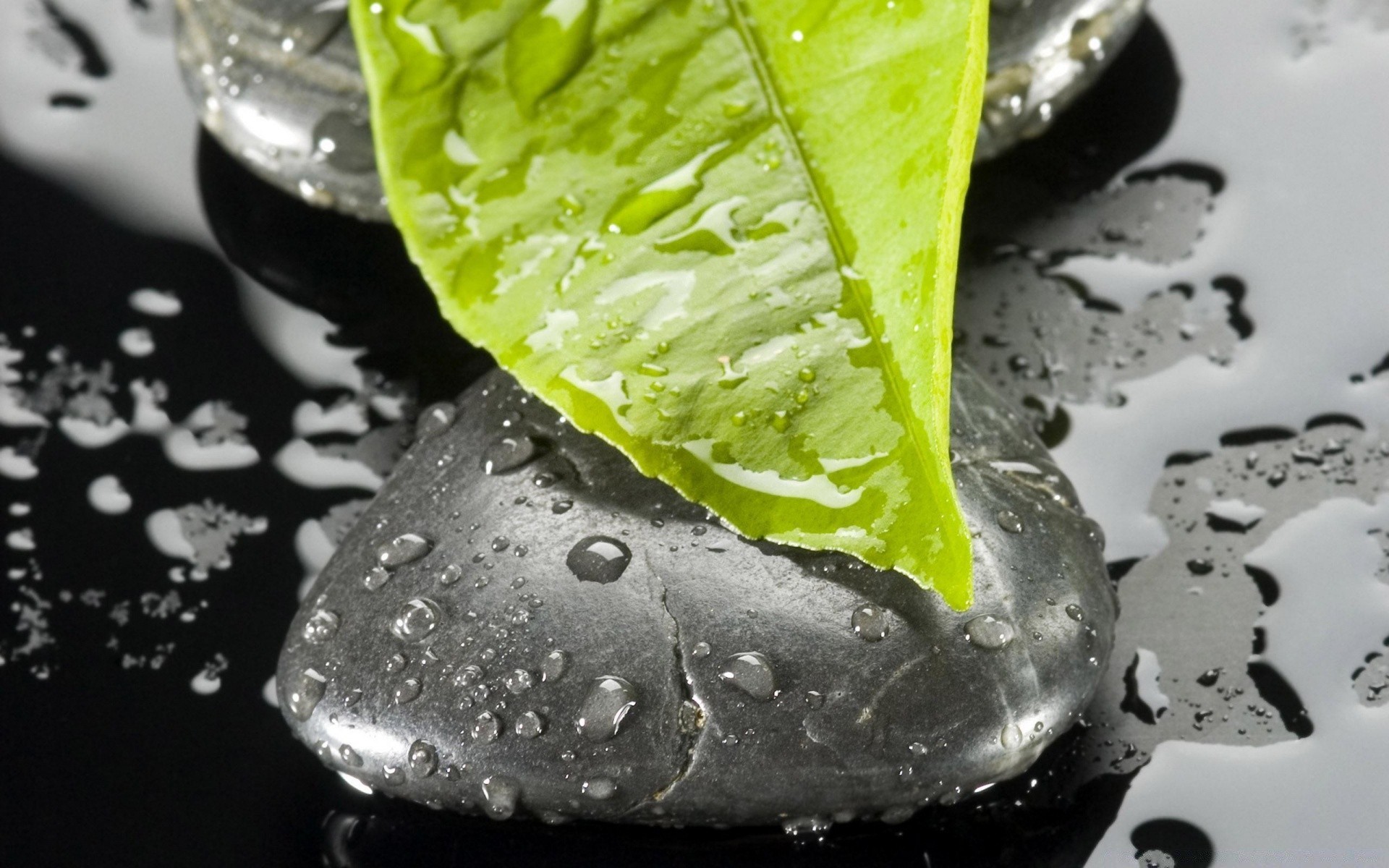 macro eau goutte humide pluie santé bulle alimentaire en bonne santé boire liquide propre feuille froid fraîcheur gouttes clair verre propreté