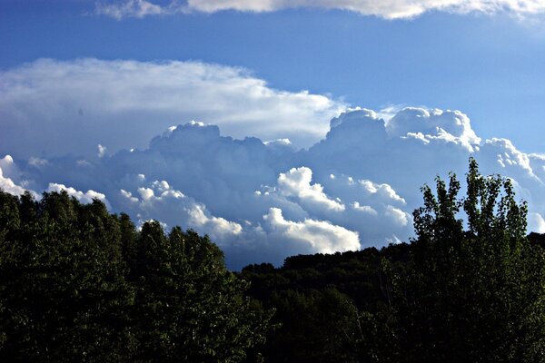 Nuvens de ar atrás das copas das árvores