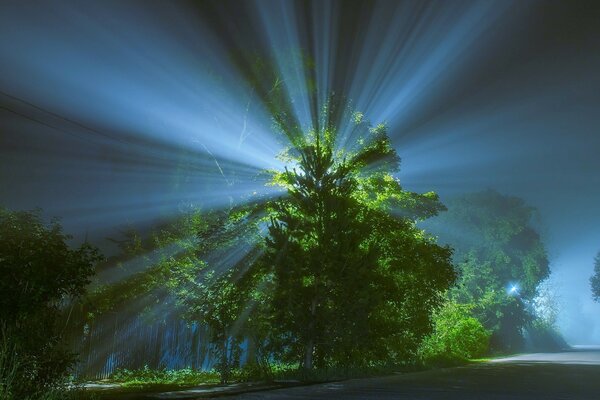 Bela natureza nos raios do crepúsculo da noite