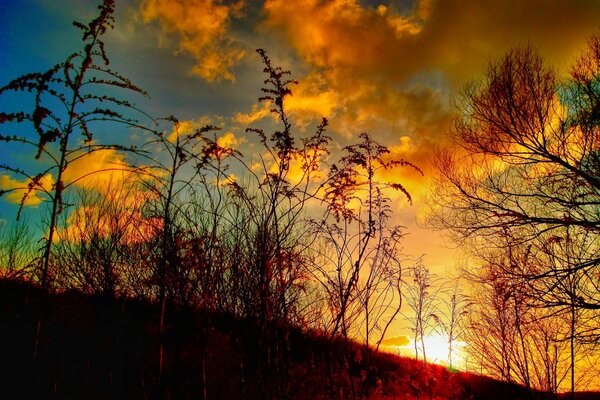 Hermosa puesta de sol en la naturaleza