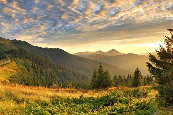 Bella natura di montagna Serena