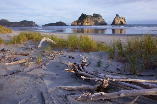 Playa junto al mar con grandes montañas