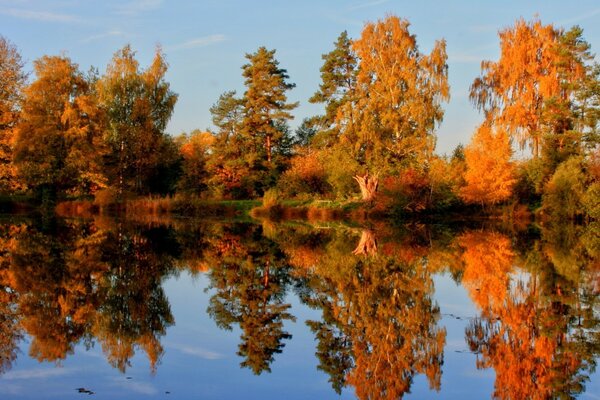 Фотографія Осінній ліс і озеро