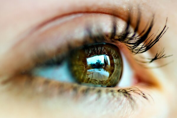 Close-up di occhi di ragazza su sfondo sfocato