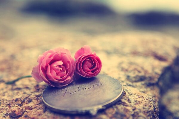 Photo sur un médaillon de pierres gravées de petites fleurs roses