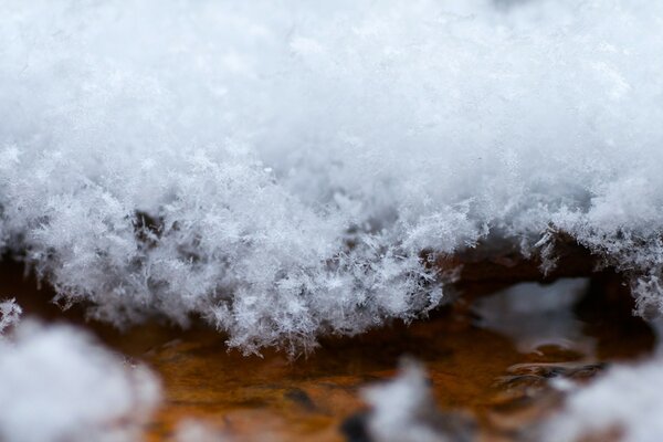 Macro. Primeras nieves. Agua