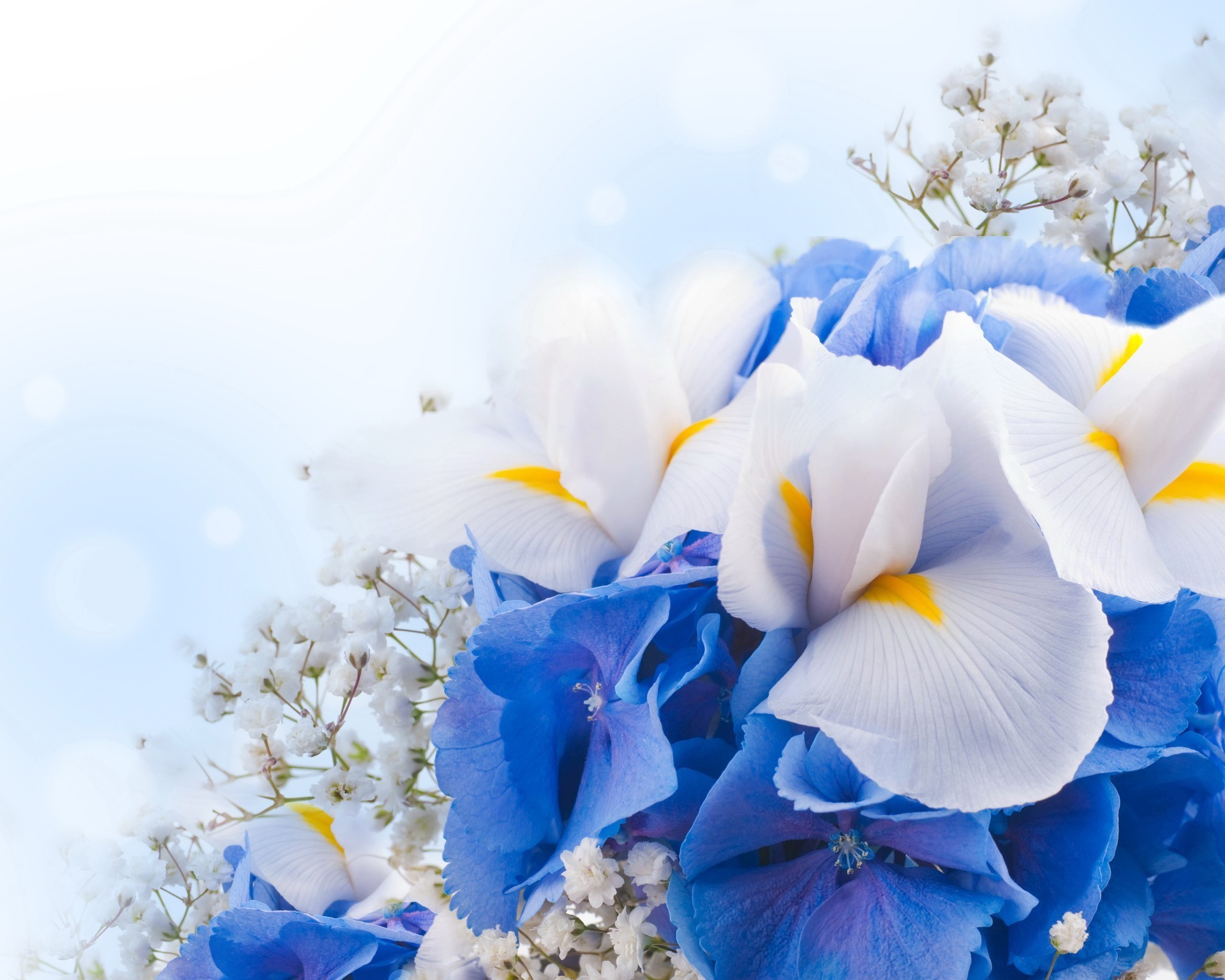 flowers nature flower flora bright season beautiful color floral summer leaf garden decoration bouquet blooming easter close-up petal