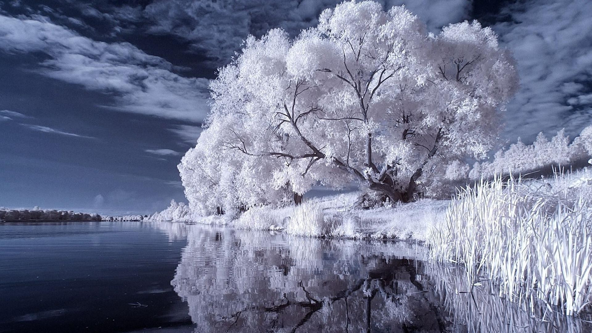 hiver paysage nature neige gel eau froid congelé bois météo glace scénique saison bois en plein air paysages ciel