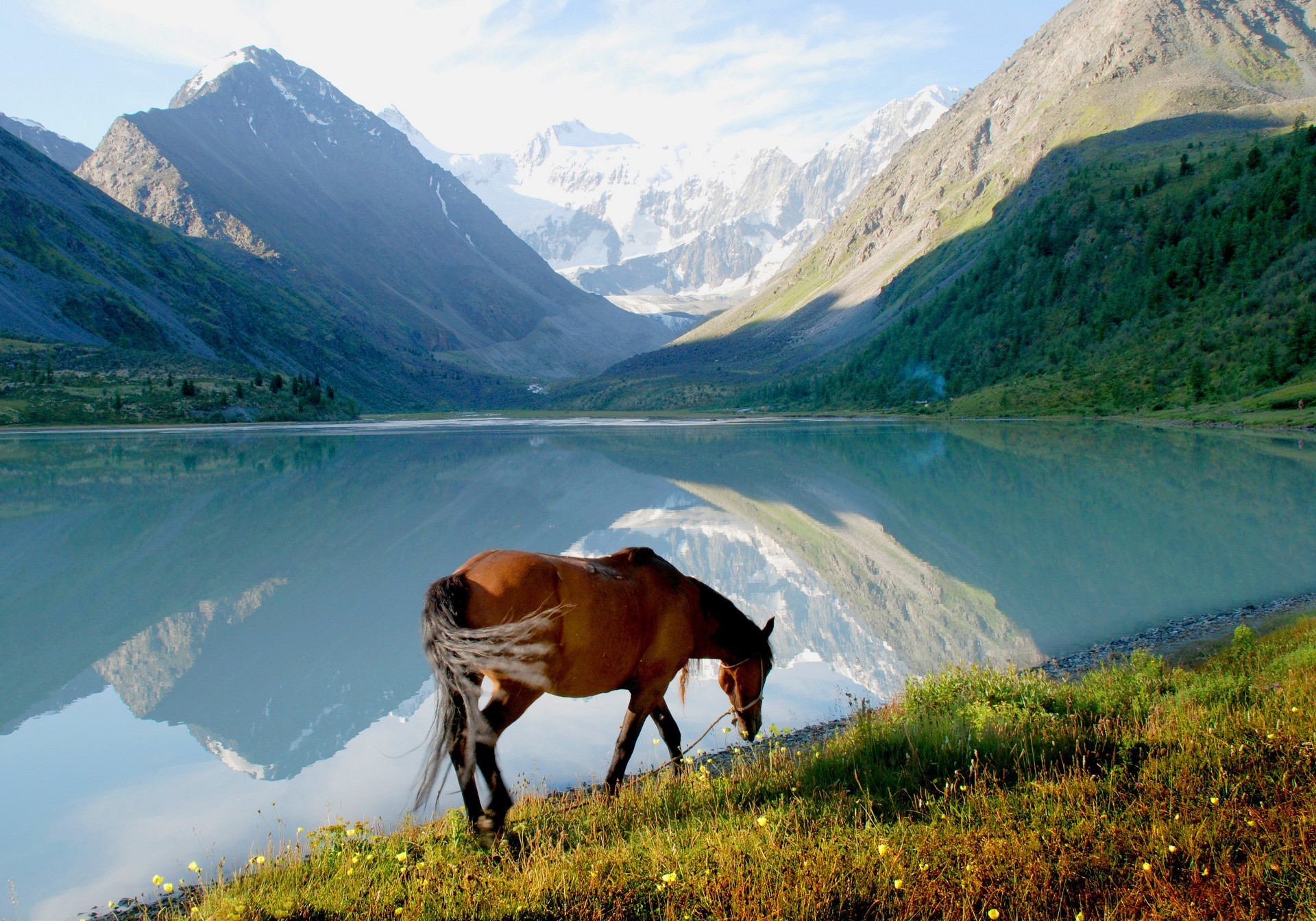 chevaux montagnes nature paysage en plein air voyage eau lac vallée herbe scénique ciel neige été bois rock foin automne