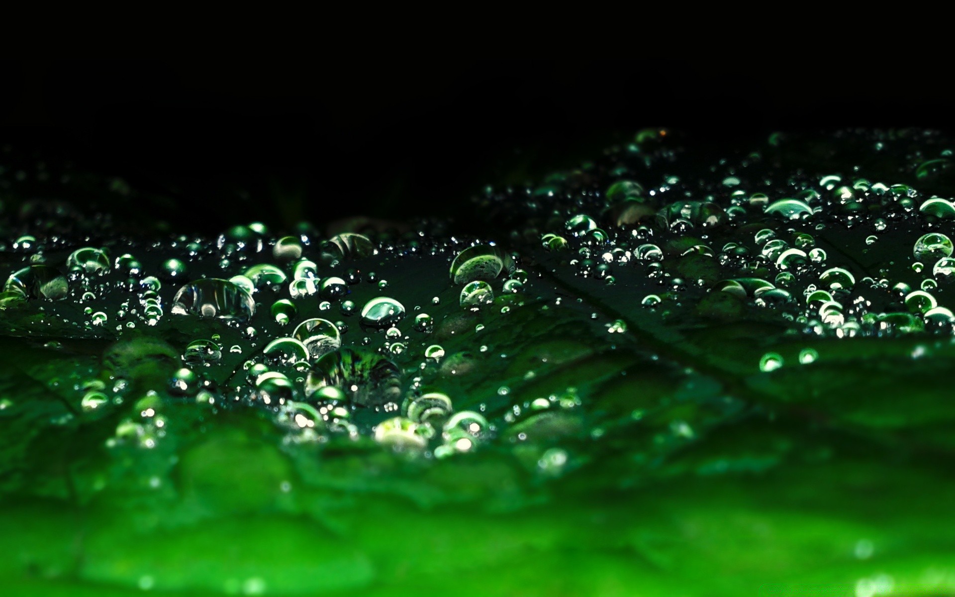 Живые обои капли. Капли воды. Зеленый дождь. Капли дождя. Вода абстракция.