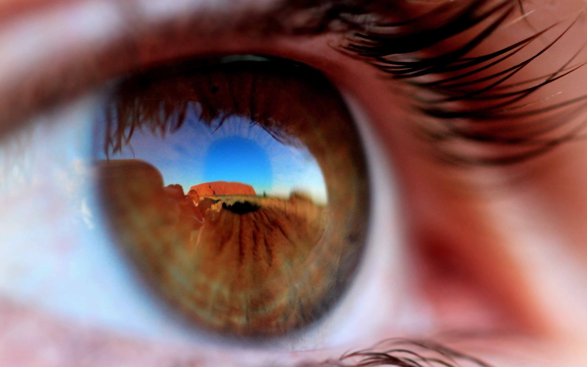 macro visão visão borrão espetáculo mulher cílios menina globo ocular resumo luz rosto retina olho