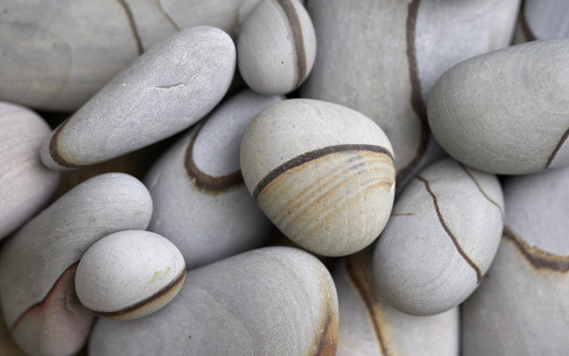 macro bureau santé nature zen alimentaire traitement partie gros plan