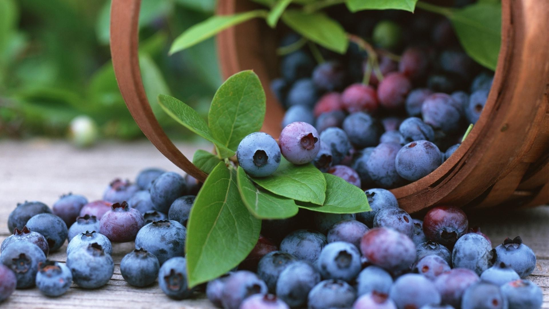 beeren obst beere essen heidelbeere weide saftig wachsen heidelbeere blatt sommer natur cluster saft gesund gruppe herbst gesundheit ernährung ernte