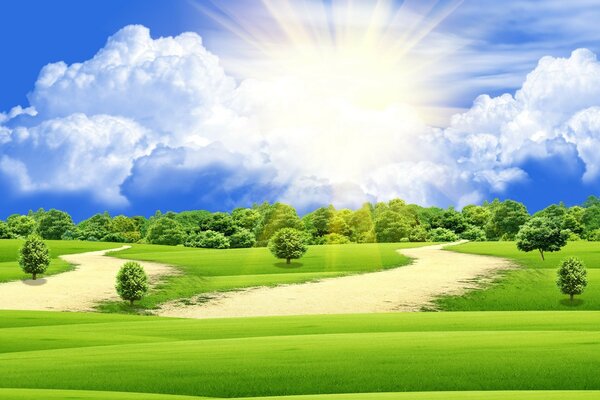 Bright sun over a green space